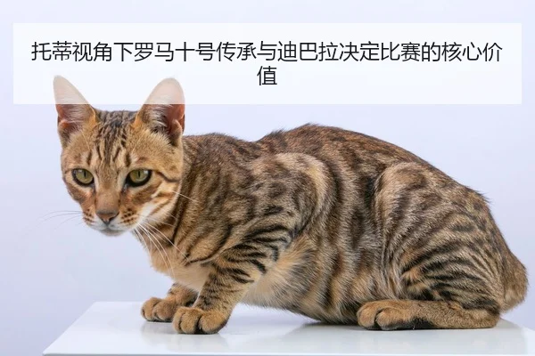 托蒂视角下罗马十号传承与迪巴拉决定比赛的核心价值